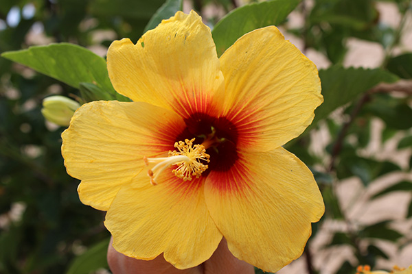 slider_1